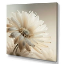 Designart White Gerbera Flowers III Canvas Wall Art