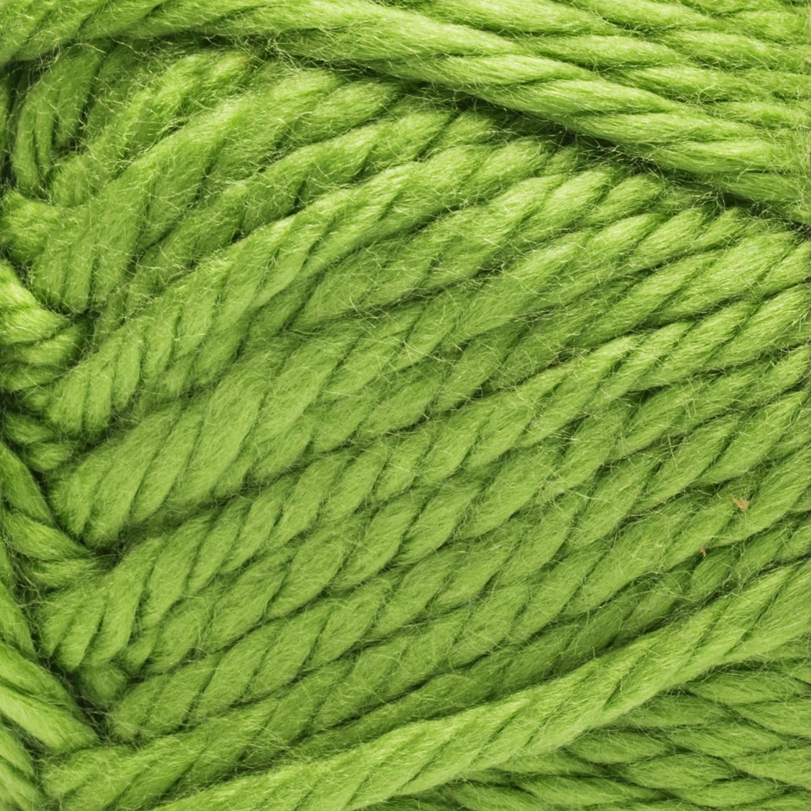 Bernat® Homebody™ #6 Super Bulky Acrylic Yarn, Shenandoah Forest 5oz/142g 85 Yards