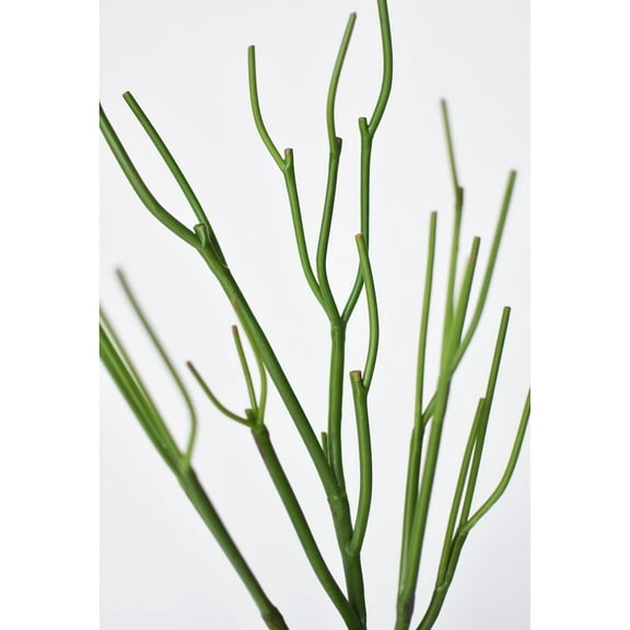 23" Faux Green Pencil Cactus Succulent Stem