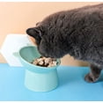 thumbnail image 3 of Gamelle Chat Gamelle Chien Gamelle Chat surélevée,Bol Anti Vomissement pour Chat,Bol de Nourriture et d'eau Antidérapant, pour Chat à Visage Plat Petit Chien (Vert), 3 of 5