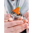 thumbnail image 4 of 1pc Handmade Knitted Hat For Small Pets Such As Hamsters, Rabbits, Parrots With Animal Decorations, 4 of 4