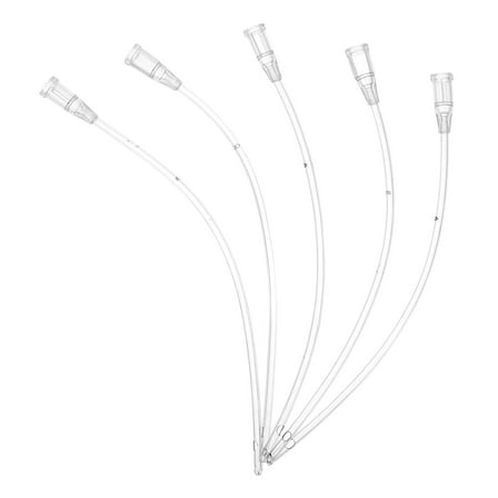 Pawsdot 5Pcs Transparent Bird Feeding Tool for Young Birds Pet Supply