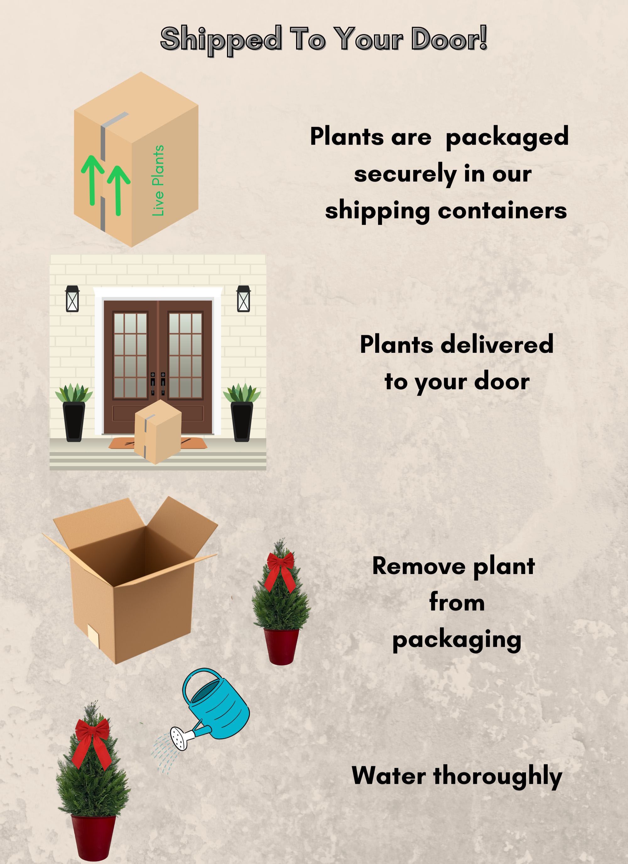 Holiday Time 3.0GL Leyland Cypress Potted Holiday Shrub in Decorative Container