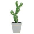 thumbnail image 1 of FESTFENDS Planta Artificial Con De Cactus Para Decorar Y Oficinas, 1 of 6