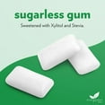thumbnail image 3 of Evergreen Sweets Chewing gum -100 Pieces Jar - Natural Spearmint Gum Made with Xylitol and Stevia - Sugar-Free, Aspartame Free and Vegan, 3 of 5