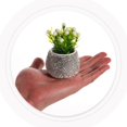 thumbnail image 3 of Cute Car Flower Vase White Plastic Dashboard Flower Pot with Lifelike Realism for Decoration, 3 of 5