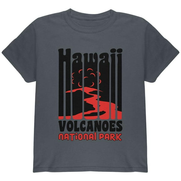 National Park Retro 70s Color Bars Hawaii Volcanoes Youth T Shirt Charcoal Youth X-SM