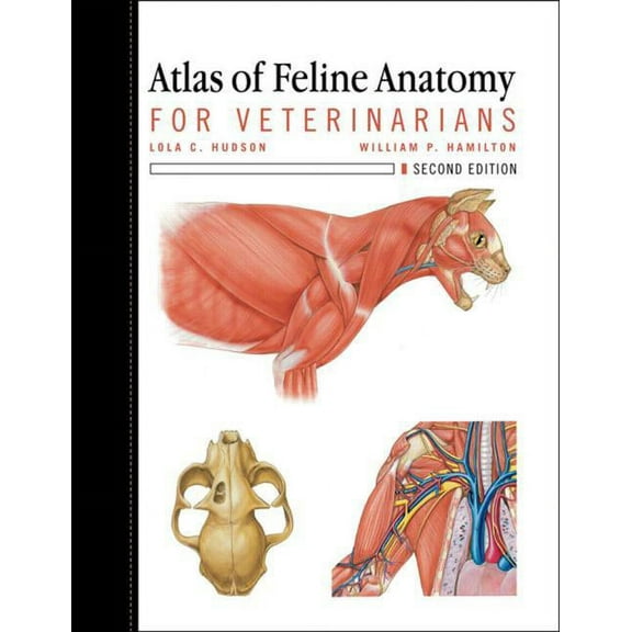 Atlas of Feline Anatomy for Veterinarians (Edition 2) (Paperback)