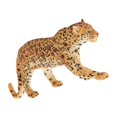 thumbnail image 1 of Guardoinrt Simulation Interactive Modèle de Figurines d'Animaux pour les Enfants Jouets Éducatifs Léopard 1Set, 1 of 6
