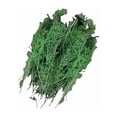 thumbnail image 2 of KLKCMS Miniature Trees 1/72 1/35 Trees Model Railroad Scenery Diorama Scenery Landscape Green, 2 of 9