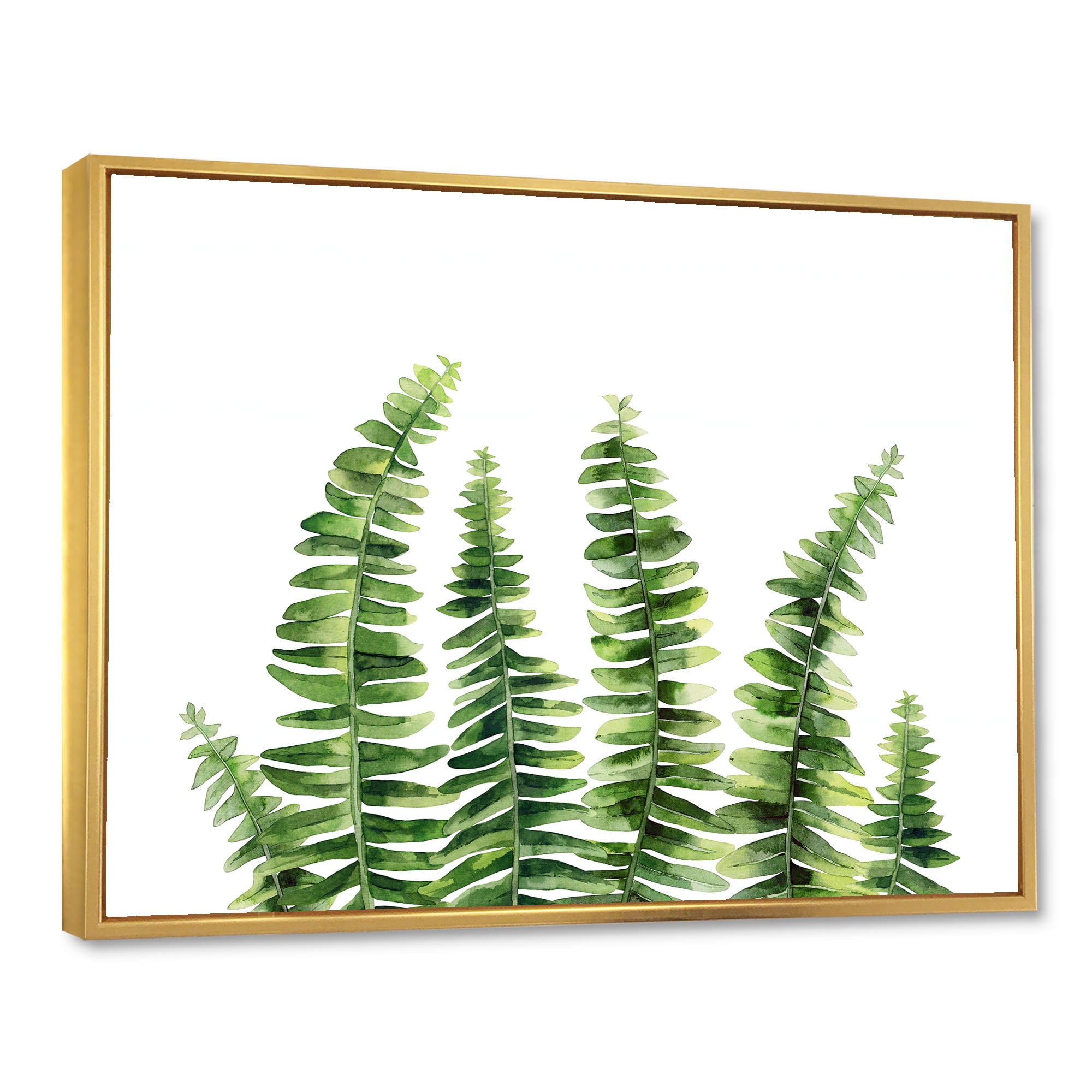 Designart 'Fern Plant Leaves Detail II' Farmhouse Framed Canvas Wall Art Print