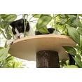 thumbnail image 3 of On2 Pets CatHaven Cat Condo (Base Carrée, Paquet Moyen), 3 of 8