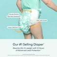 thumbnail image 3 of Rascals Premium Jumbo Diapers, 3 of 8