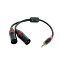 thumbnail image 1 of Cable Rannsgeer TRS estéreo de 3,5 mm a doble XLR macho, divisor en Y, 1 of 2