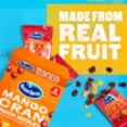 thumbnail image 5 of Ocean Spray® Mango Cran™ Snack Medley, Cranberry and Mango Dried Fruit Snack, 1 Oz Pouches, 5 Count, 5 of 12