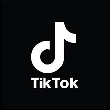TikTok Logo Vinyl Decal - 6 Inch White