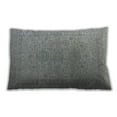 thumbnail image 1 of Ahgly Company Outdoor Rectangular Mid-Century Modern Lumbar Throw Pillow, 13 inch by 19 inch, 1 of 5