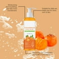 thumbnail image 4 of 2Pcs Persimmon Body Wash for Body Odor Control, Natural Deodorant Bar Soap, Body Cleansing Shower Gel for Refreshing & Moisturizing, Suitable for Men & Women, 4 Fl Oz, 4 of 9