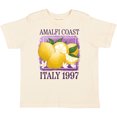 thumbnail image 3 of Inktastic Amalfi Coast Italy 1997 Boys or Girls Toddler T-Shirt, 3 of 5