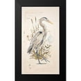 thumbnail image 2 of Barrett, Chad 12x18 Black Modern Framed Museum Art Print Titled - Great Blue Heron, 2 of 5