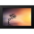 thumbnail image 2 of Hamiti, Bess 14x10 Black Modern Framed Museum Art Print Titled - Tree At Lake, 2 of 5