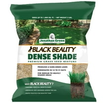 Jonathan Green (10600)ITSC Black Beauty Dense Shade Grass Seed - Cool Season Lawn Seed (3 lb)
