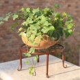 thumbnail image 4 of FYCONE Metal Wide Plant Stand Flower Pot Holder Display Rack Shelves Indoor Outdoor Garden Decor, 4 of 7