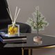 thumbnail image 5 of XWSHYW Luces Decorativas Luce Leds En Navidad, Decoraciones En Hogar, Eventos Iluminados En Acción de Gracias E Interiores., 5 of 6