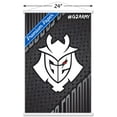 thumbnail image 3 of G2 Esports - G2 Army Wall Poster with Magnetic Frame, 22.375" x 34", 3 of 3