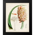 thumbnail image 2 of Curtis 20x24 Black Modern Framed Museum Art Print Titled - Delicate Tropicals III, 2 of 5