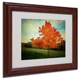 thumbnail image 2 of Trademark Fine Art "Vieillot" Canvas Art by Philippe Sainte-Laudy, Wood Frame, 2 of 5