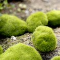 thumbnail image 3 of Musgo de varios tamaños, piezas de piedra sintética, bolas verdes artificiales, piedras de musgo de césped artificial, bolas verdes de musgo para vivero/jarrones/jardín de hadas, 3 of 5