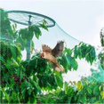 thumbnail image 3 of 2m X 10m Green High Quality Garden Net Protection Anti Bird Vegetable Fruit Plant Pond Water Plant Windproof Net, 3 of 4