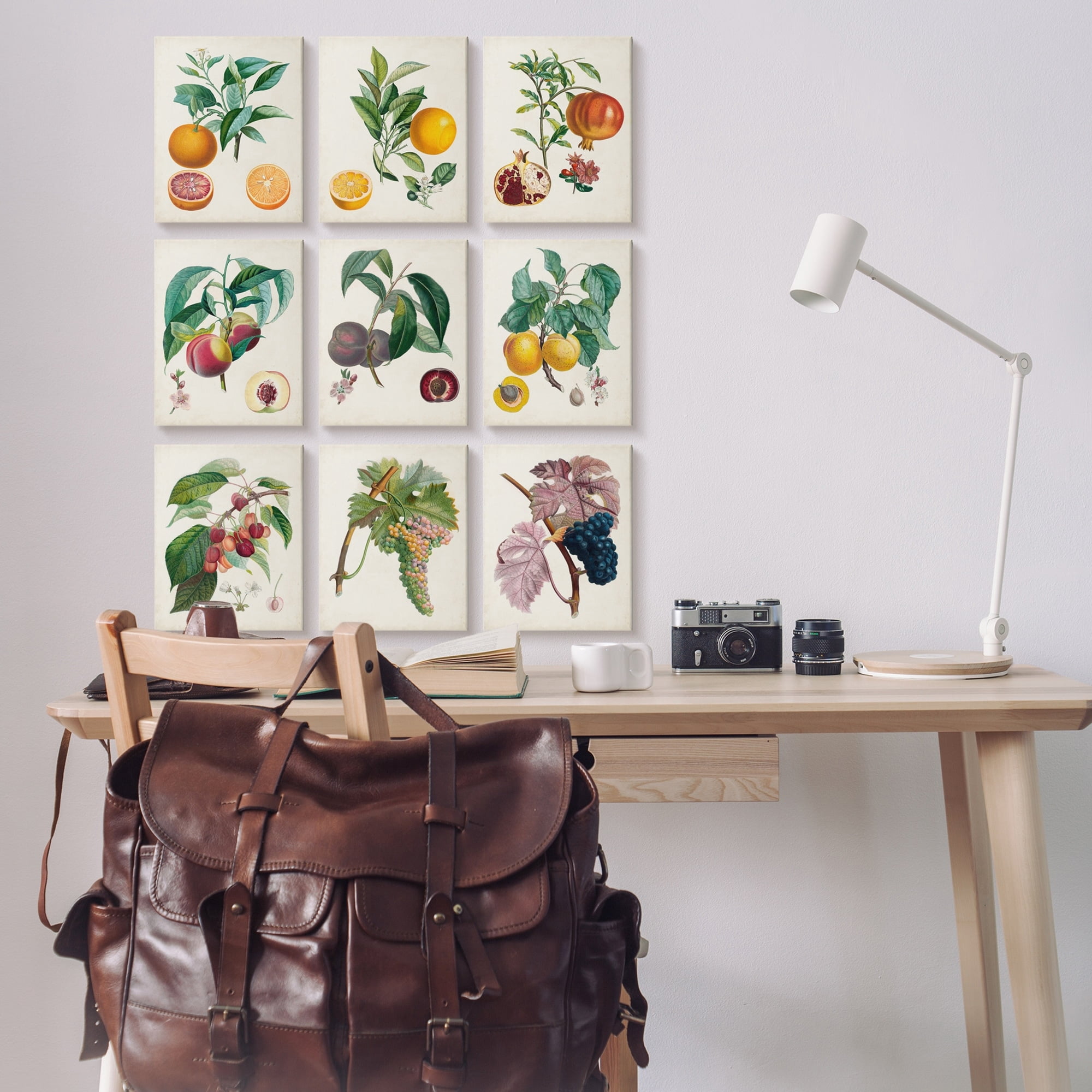 Stupell Indtries Tree and Vine Fruits Vintage Study Traditional Kitchen,11 x 14,Design by Pierre Antoine Poiteau