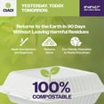 thumbnail image 4 of CIAO! 8"x8"x3" Clamshell 1 Compartment 100% Compostable Ecofriendly PFAS Free Unbleached Bagasse Natural White (200/case), 4 of 9