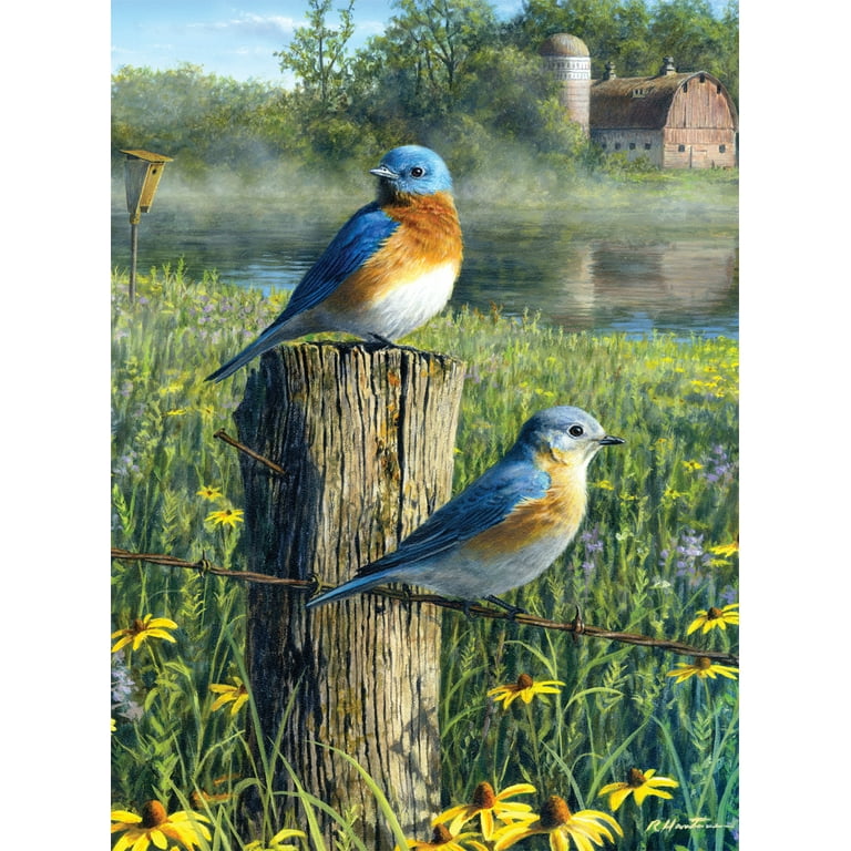 Buffalo Games Hautman Brothers Prairie Bluebirds Puzzle - Walmart.com