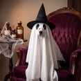 thumbnail image 4 of Dog Halloween Clothes Set, Ghost Cape & Witch Hat, Polyester Pet Outfit, White, 4 of 6