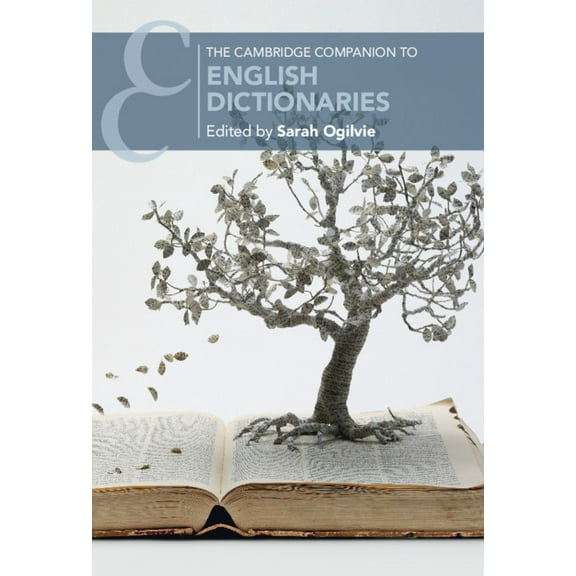 Cambridge Companions to Literature The Cambridge Companion to English Dictionaries, (Hardcover)
