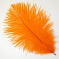 thumbnail image 1 of Zucker™ Ostrich Feathers - Drabs - 9 -12" - Orange, 1 of 1