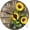 Sunflowers Wooden, variant on Round Wall Clock, Silent Non-Ticking Battery Operated Clock 10 Inch, Decor for Bathroom, Bedroom, Kitchen, Office or School Summer Beach Seashell