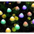 thumbnail image 3 of Guirlande lumineuse Sincero 5 Mtres 20 Lumires solar champignon, 3 of 5