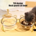 thumbnail image 4 of Fiudx Comedero para Gatos, Diseño de Cuenco Doble Inclinado, Cuenco de Vidrio Resistente a Altas Temperaturas, Solución de Alimentación a Prueba de Derrames, Ideal para Gatos y Perros Pequeños, Elega, 4 of 6