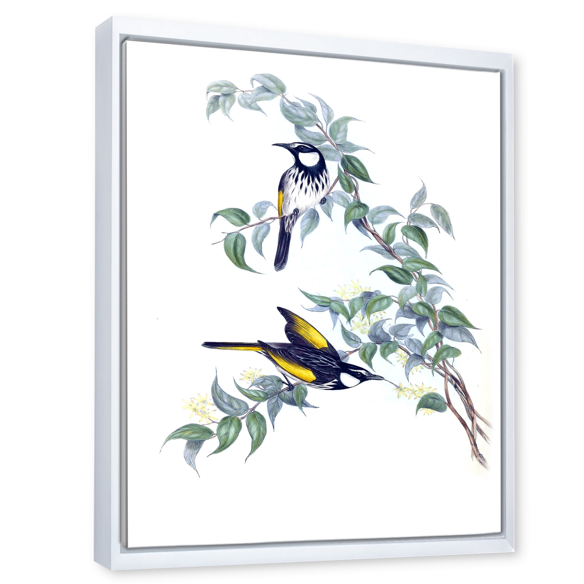 Ancient Australian Birds On A Branch 30 in x 40 in Framed Painting Canvas Art Print, by Designart