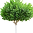 thumbnail image 4 of unbranded 2Ud Protector De De Árbol Plástico Con Fácil Instalación Para Uso Exterior, 4 of 8