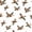White Green, variant on Manfei Patchwork Duck Camo Twin Quilt Set, Mid Century Camouflage Twin Coverlet Set, Desert Tan, 2 Pieces, 1 Bedspread and 1 Pillowcase