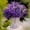 H#253, variant on Artificial Violet Flowers for Wall Home Decor, Lifelike Simulation Plants, Easy Installation, Long-Lasting Decoration for Living Room or Office