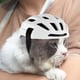 thumbnail image 5 of Casco para perros pequeños y medianos, casco de moto ventilado para perros, casco para mascotas con correa ajustable para gatitos y cachorros, 5 of 5