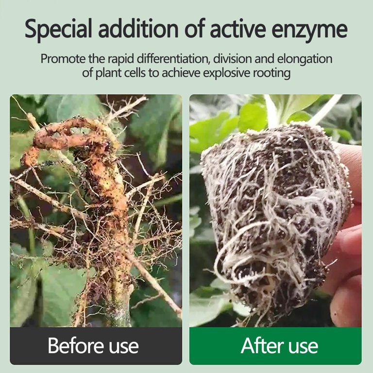 all purpose plant fertilizer Arber Organic All Purpose Fertilizer main image 0
