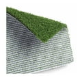 thumbnail image 3 of Replacement Grass, 3 of 3