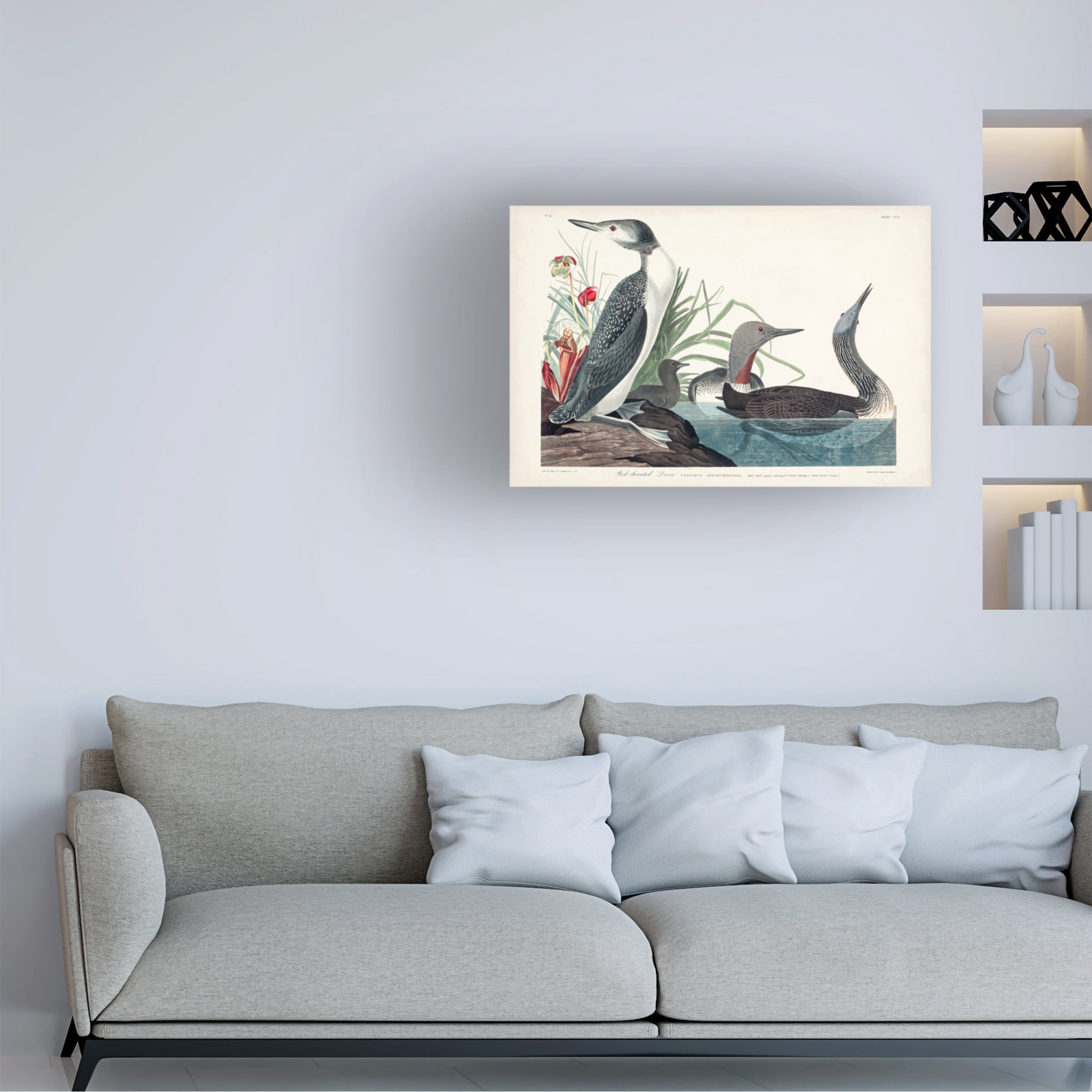 John James Audubon 'Red Throated Diver' Canvas Art
